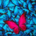 a pink butterfly stands in stark contrast to a bunch of smaller blue butterflies in a cropped image from the cover of Nevertheless (Tesseracts Twenty-One)